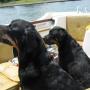 Bill Perkins Photo 14