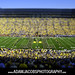 Jacob Robinson Photo 28