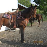 Bob Weaver Photo 39