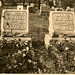 James Casteel Photo 20