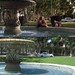 Elizabeth Dreyfuss Photo 8