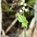 Nancy Olmstead Photo 26