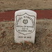 Samuel Robertson Photo 22