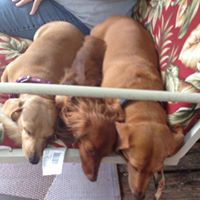 Teresa Mcalister Photo 19