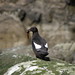 Eileen Bird Photo 22