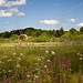 Tanya Bridges Photo 6