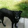 Cheryl Greene Photo 4