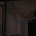 Tony Goins Photo 21