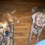 Tina Olson Photo 42
