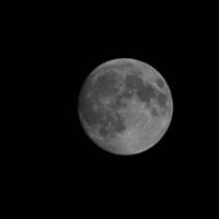 Eric Paulson Photo 31