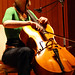 Anne Davidson Photo 19