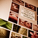 Lynette Green Photo 14