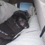 Sherry Bates Photo 42