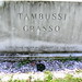 Mary Grasso Photo 33