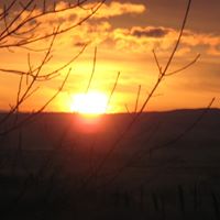 Andrea Peterson Photo 32
