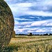 William Hays Photo 14