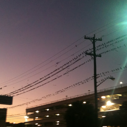 Chris Crow Photo 23