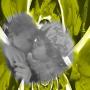 Kimberly Armes Photo 9