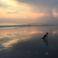 Kathleen Dougherty Photo 27