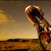 Robert Rode Photo 9