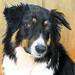 Rudy Arnold Photo 28