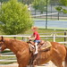 Rick Hone Photo 12