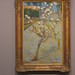 Vincent Small Photo 13