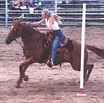 Michelle Delong Photo 15
