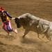 Dave Halverson Photo 23