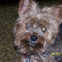 Edna Miller Photo 40