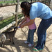 Janette Little Photo 22
