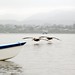 Marc Shulman Photo 8