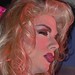 Harvey Starr Photo 19