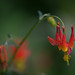 Margaret Green Photo 7