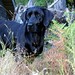Roxanne Hunt Photo 26
