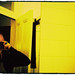 Christopher Self Photo 24