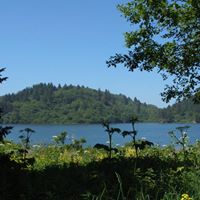 Vicki Littell Photo 1