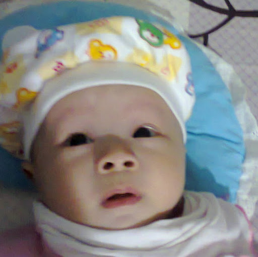 Minh Quan Photo 5