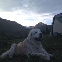 Jacob Mattern Photo 7