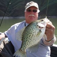 Darrell Cook Photo 17