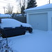 Arlene Snow Photo 6