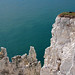 Cliff White Photo 24