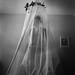Matthew Swarts Photo 6