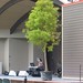 Ruth Greenfield Photo 17