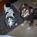 Jayne Wiley Photo 6