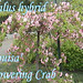 Louisa Flowers Photo 11