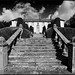 Frederick Sharp Photo 20