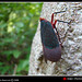 Jerry Hopper Photo 31