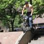 Charlie Mitchell Photo 11