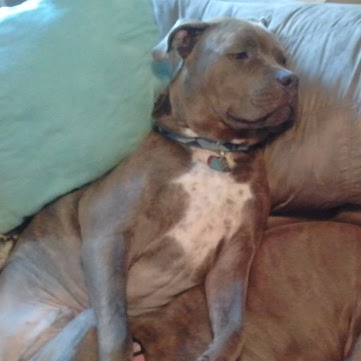 Tracy Himchak Photo 2